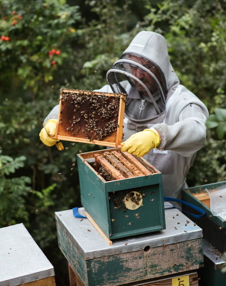 天猫國(guó)际 天猫國(guó)际